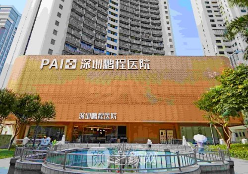 深圳整形醫(yī)院排名前十位