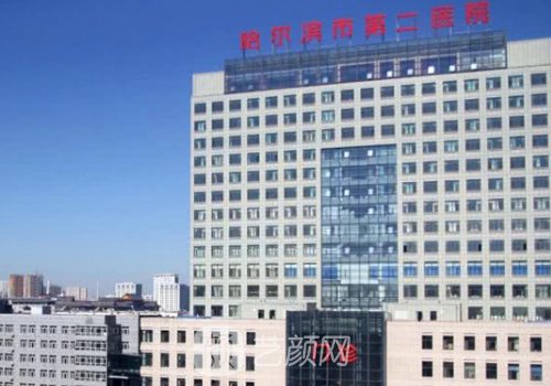 哈醫(yī)大二院整形科哪個(gè)大