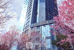 昆明夢(mèng)想整形醫(yī)院官網(wǎng)信