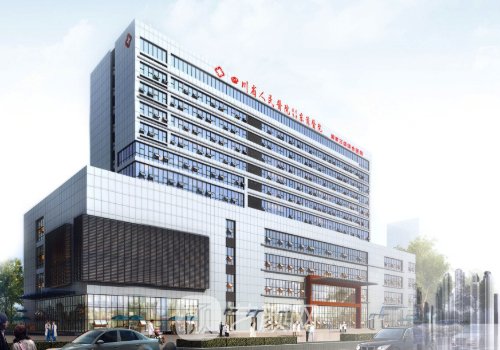 成都東籬醫(yī)院是公立還是